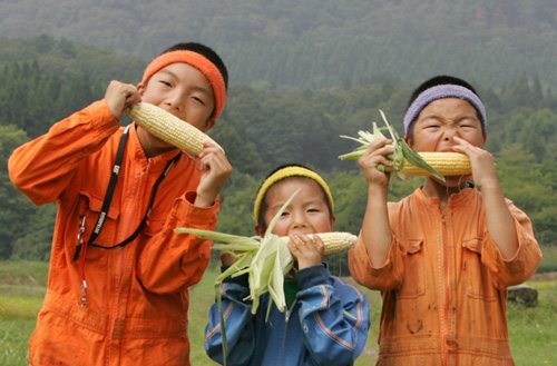 フルーツコーン ゴールドラッシュを食べる少年たち boys eating  Fruit corn Gold rush